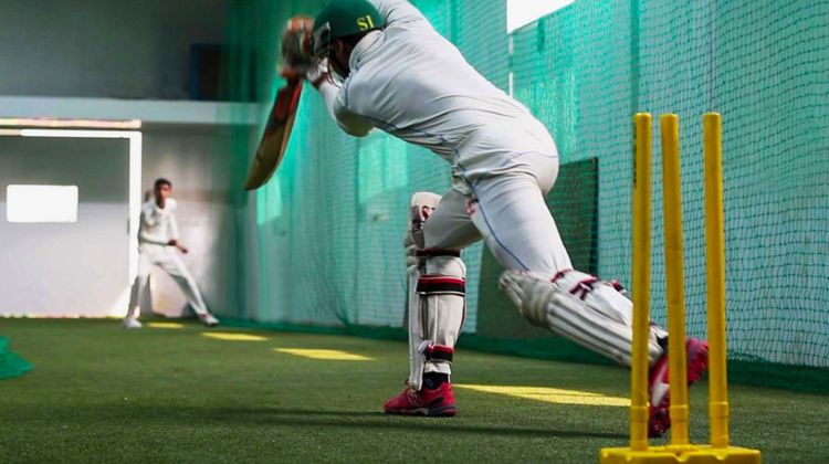  Cricket Image